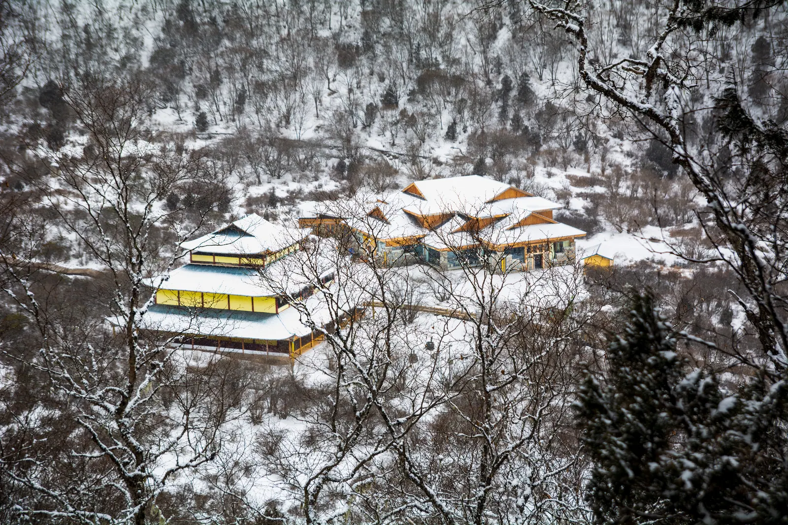 黄龙 · 九寨沟，2025.04.01 11:10