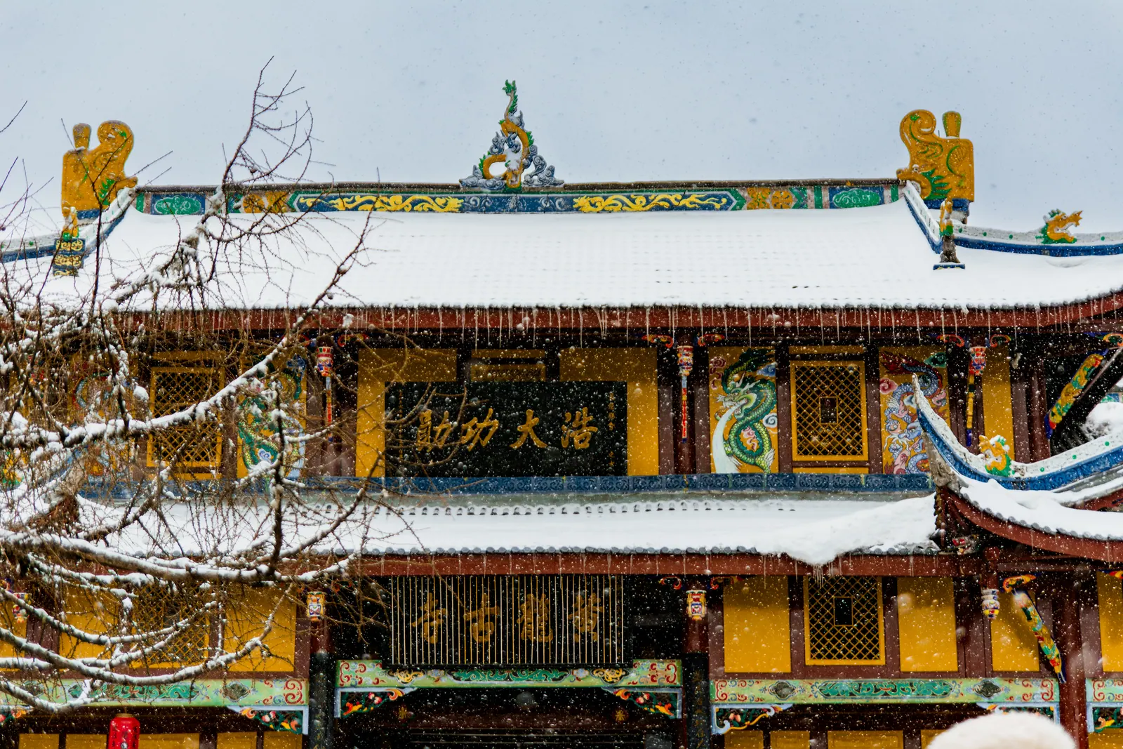 黄龙 · 九寨沟，2025.04.01 11:37