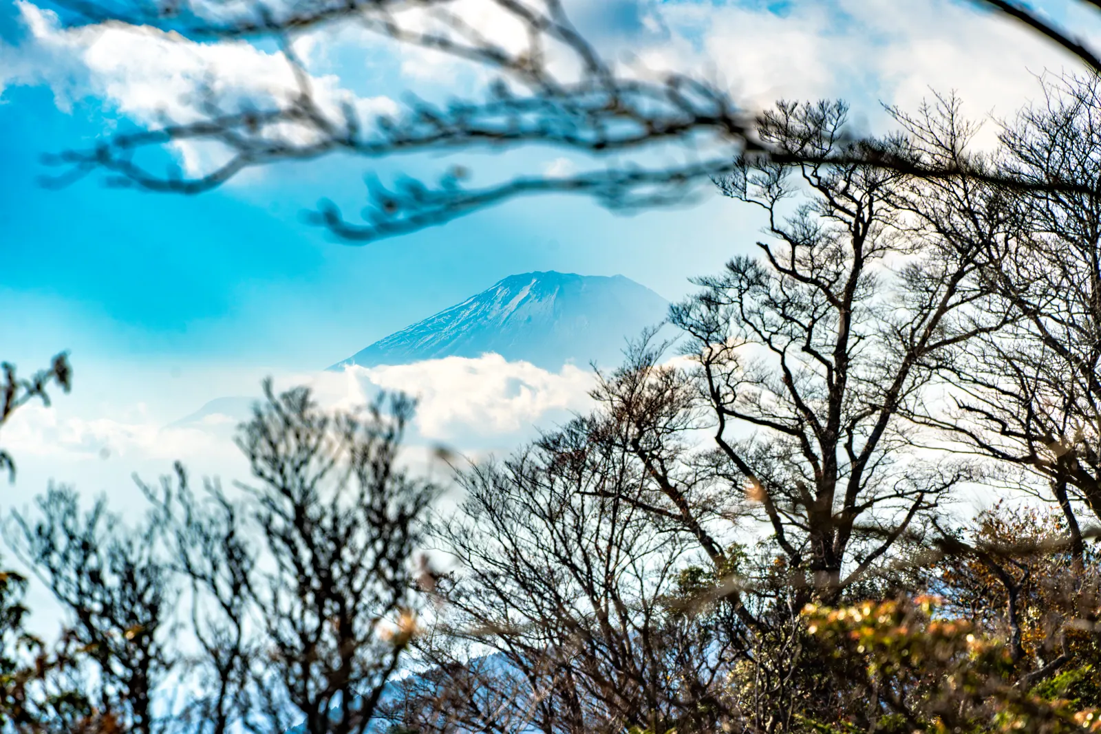 丹泽 · 大山，2025.11.22 14:48