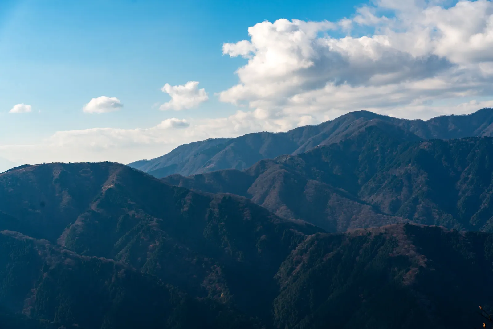 丹泽 · 大山，2025.11.22 14:58
