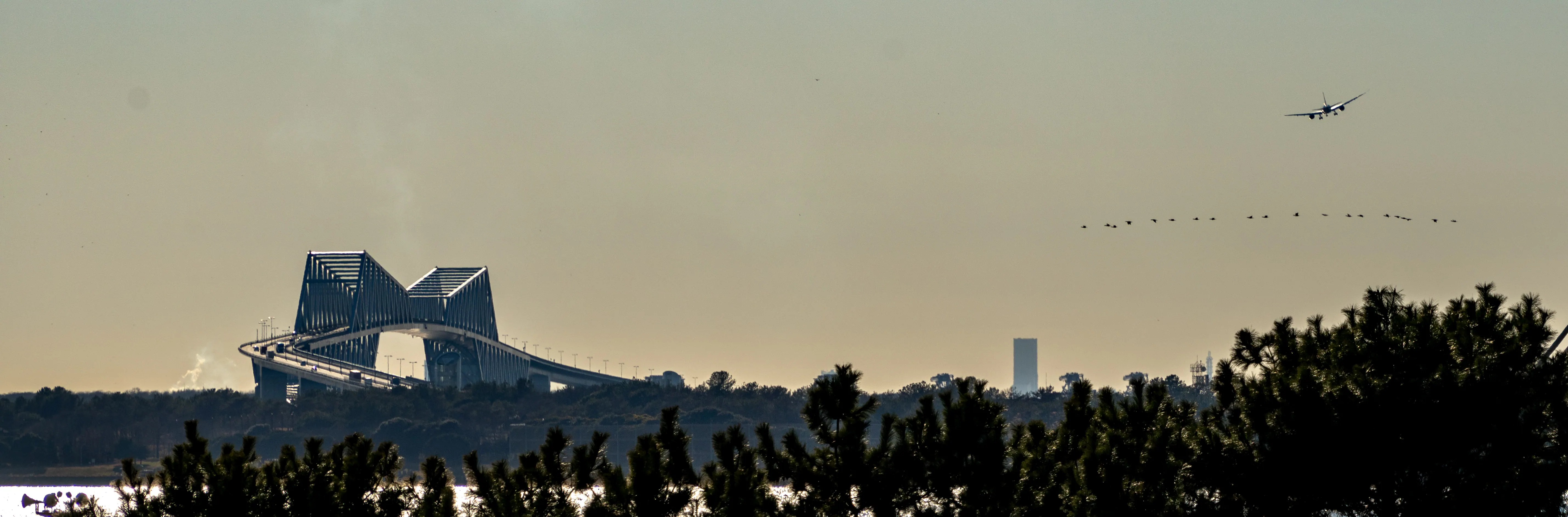 R19 · 03，2026.01.12 14:27