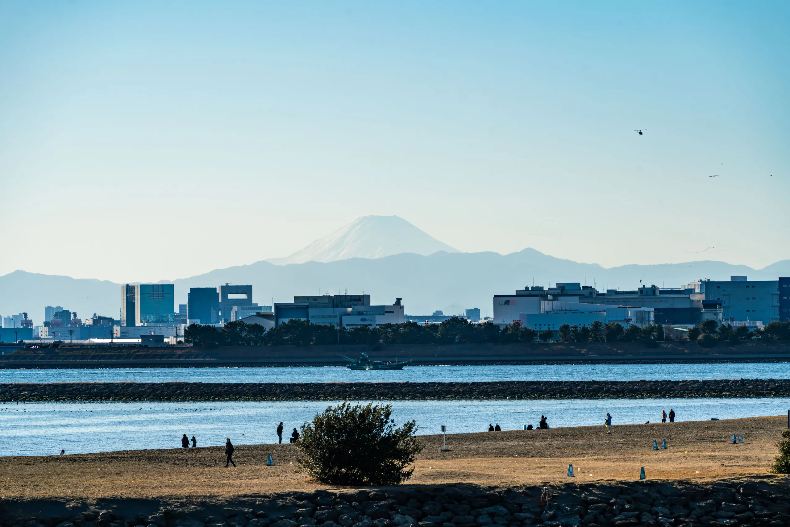 R19 · 06,2026.01.12 14:39