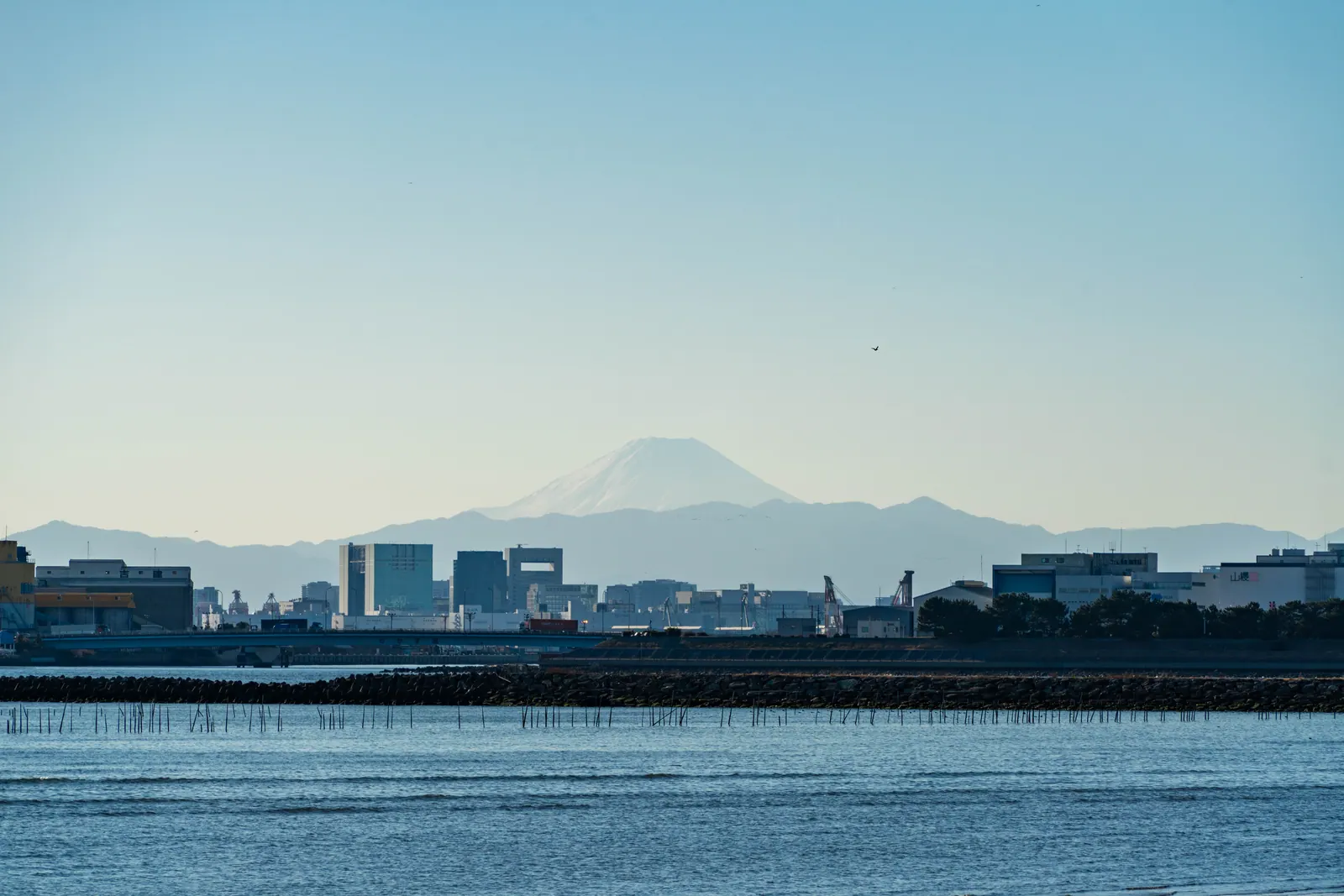 葛西临海公园，2026.01.12 14:42