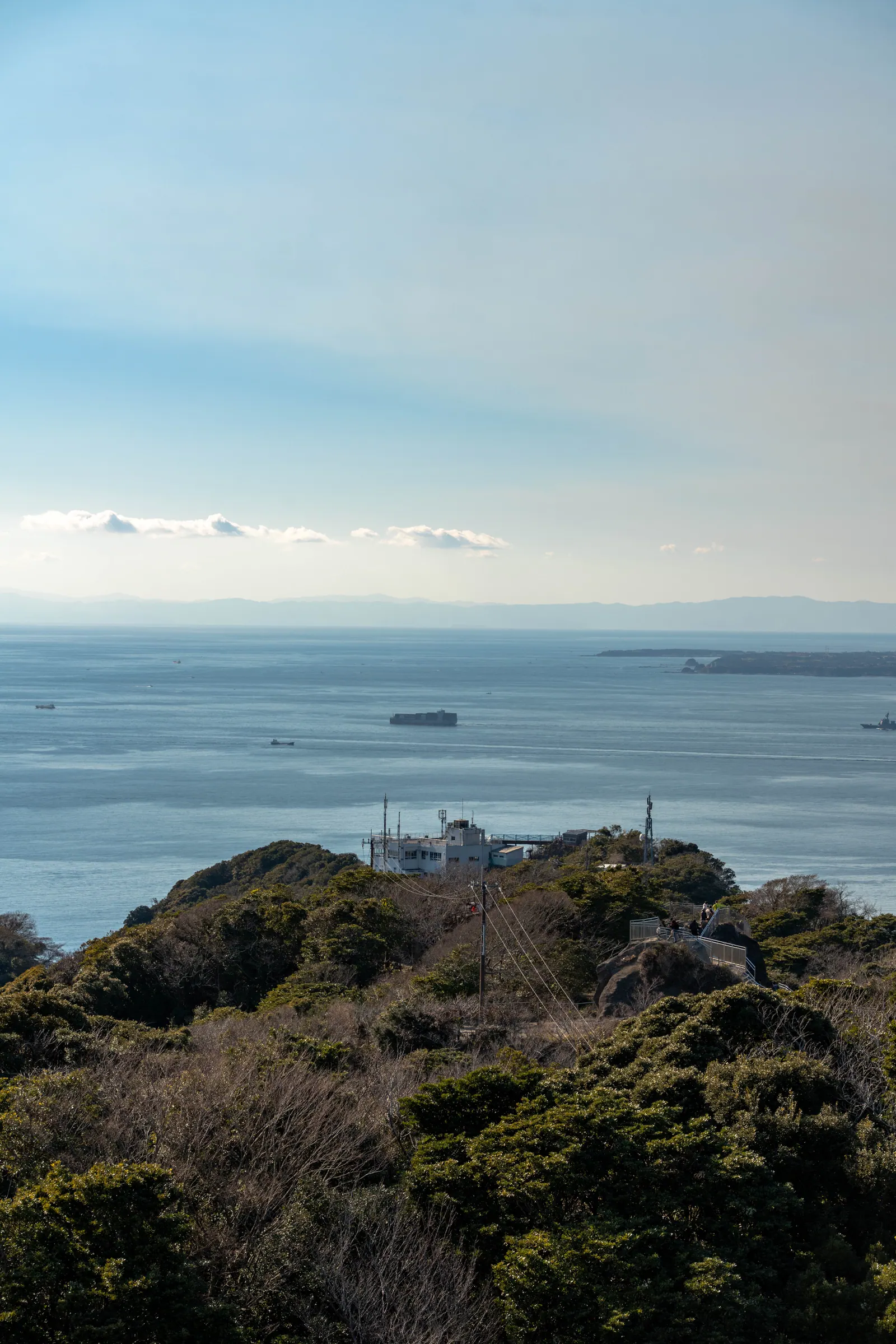 锯山，2026.02.01 14:08