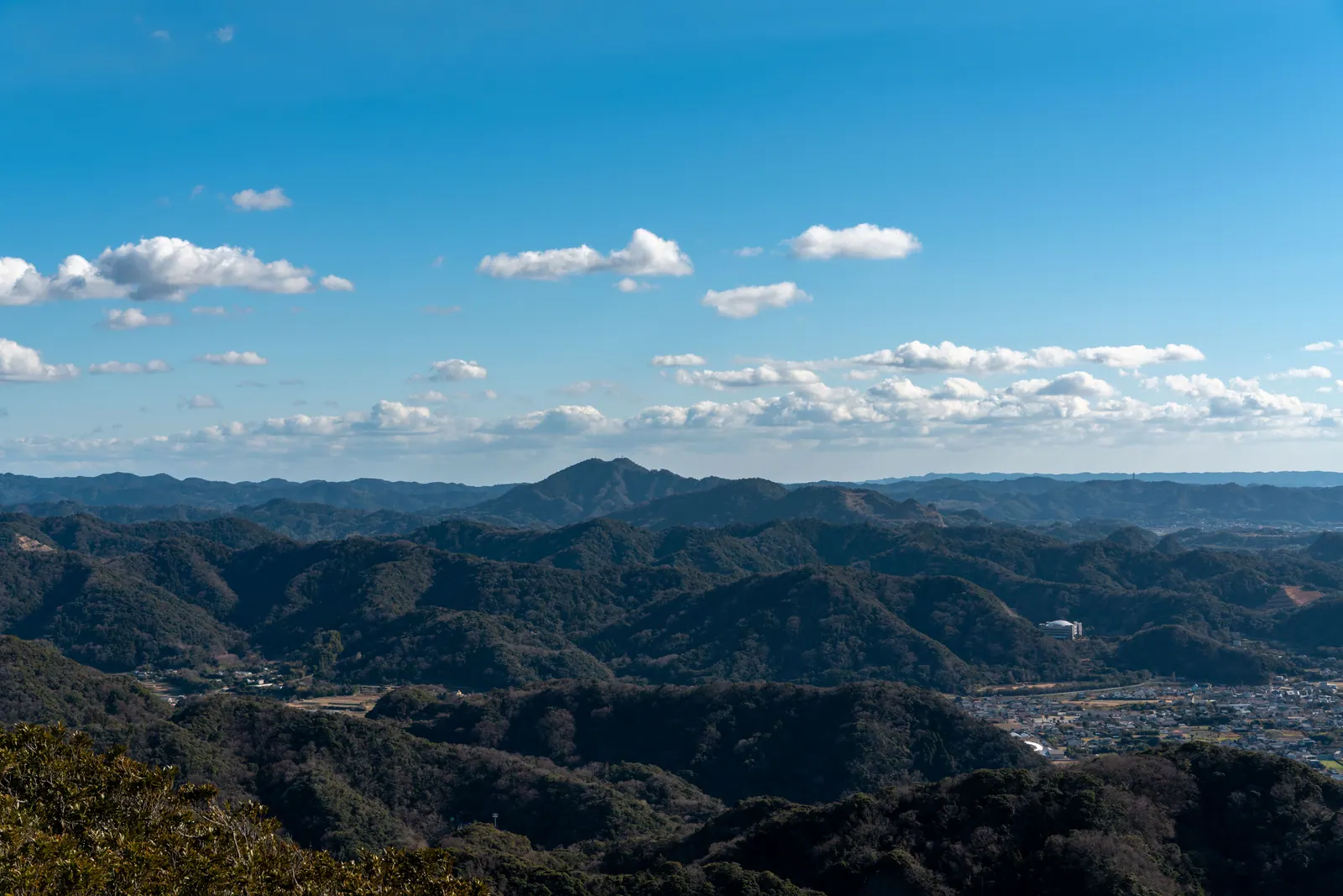 锯山，2026.02.01 14:09