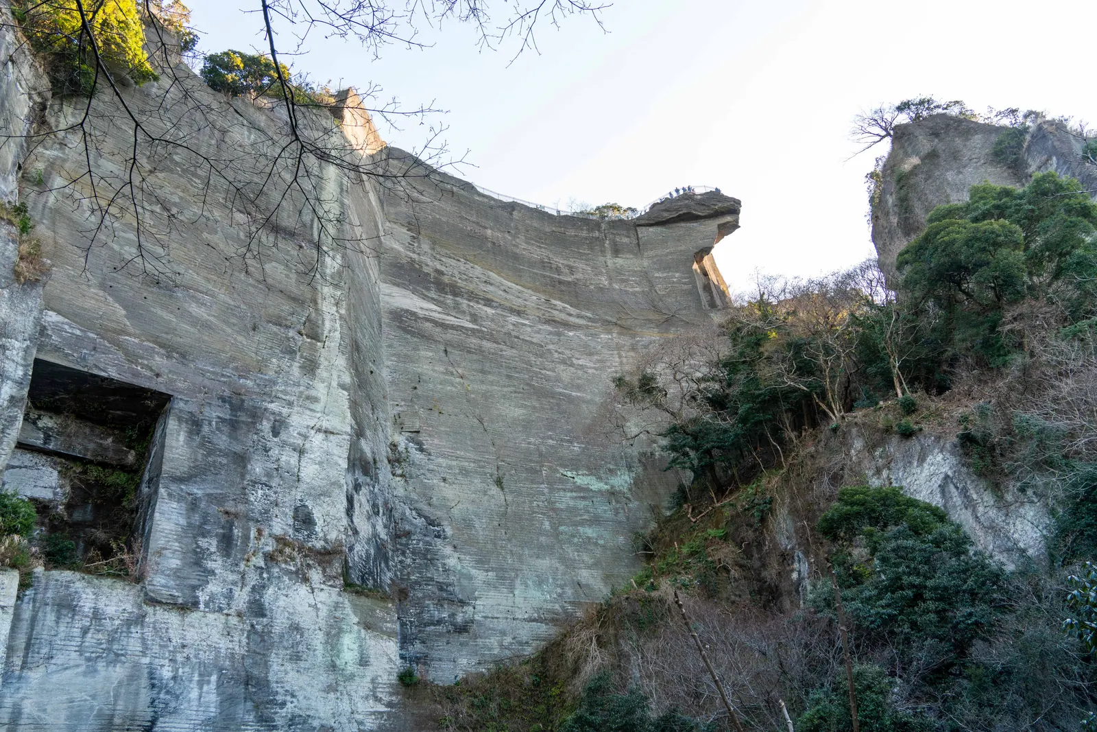 锯山，2026.02.01 15:13