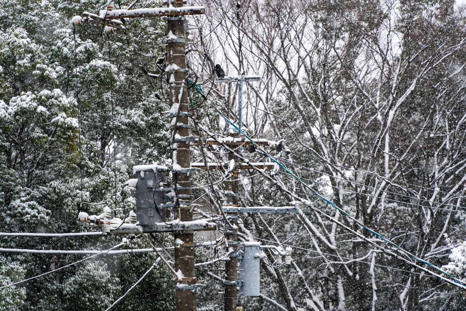 大雪，2026.02.08 10:34