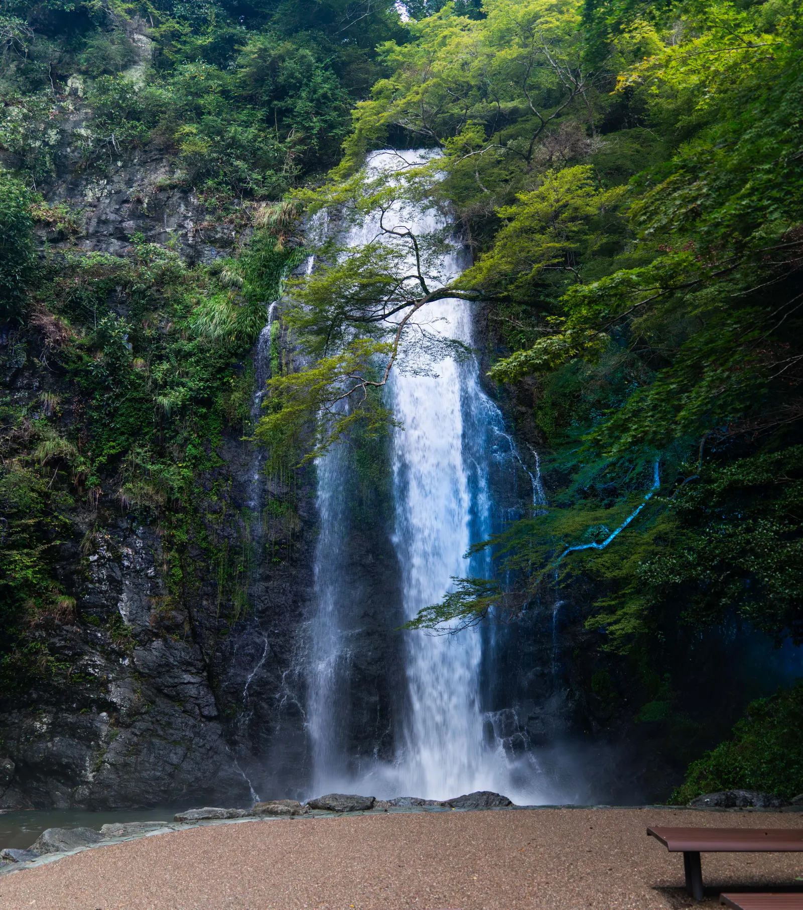 箕面大泷，2026.08.29 17:47
