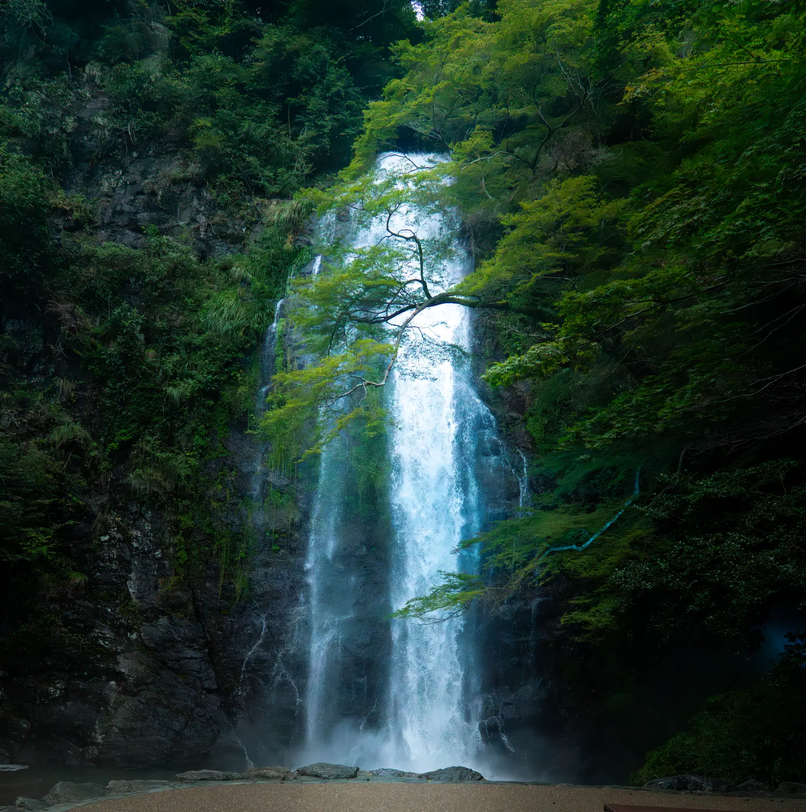 箕面大泷，2026.08.29 17:52