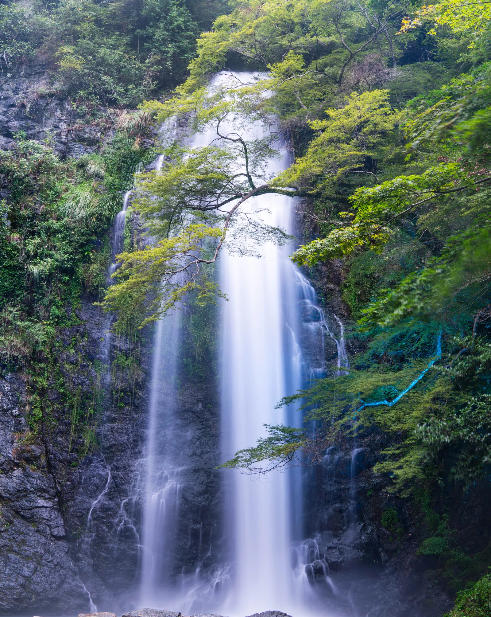 箕面大泷，2026.08.29 18:01