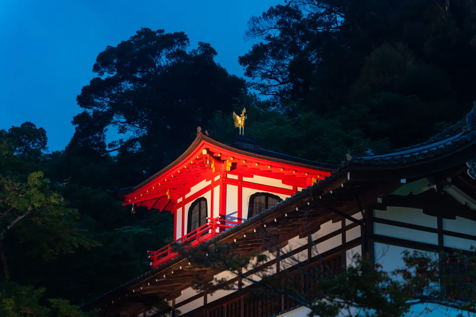 箕面大泷，2026.08.29 18:34