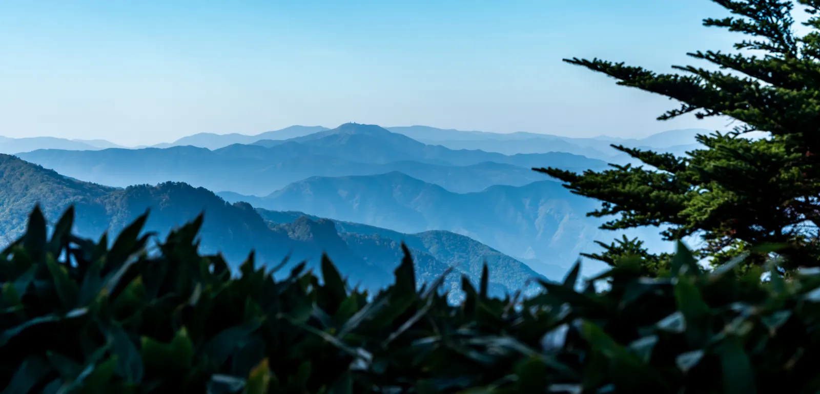 四国 · 石鎚山与剑山，2026.10.17 08:37