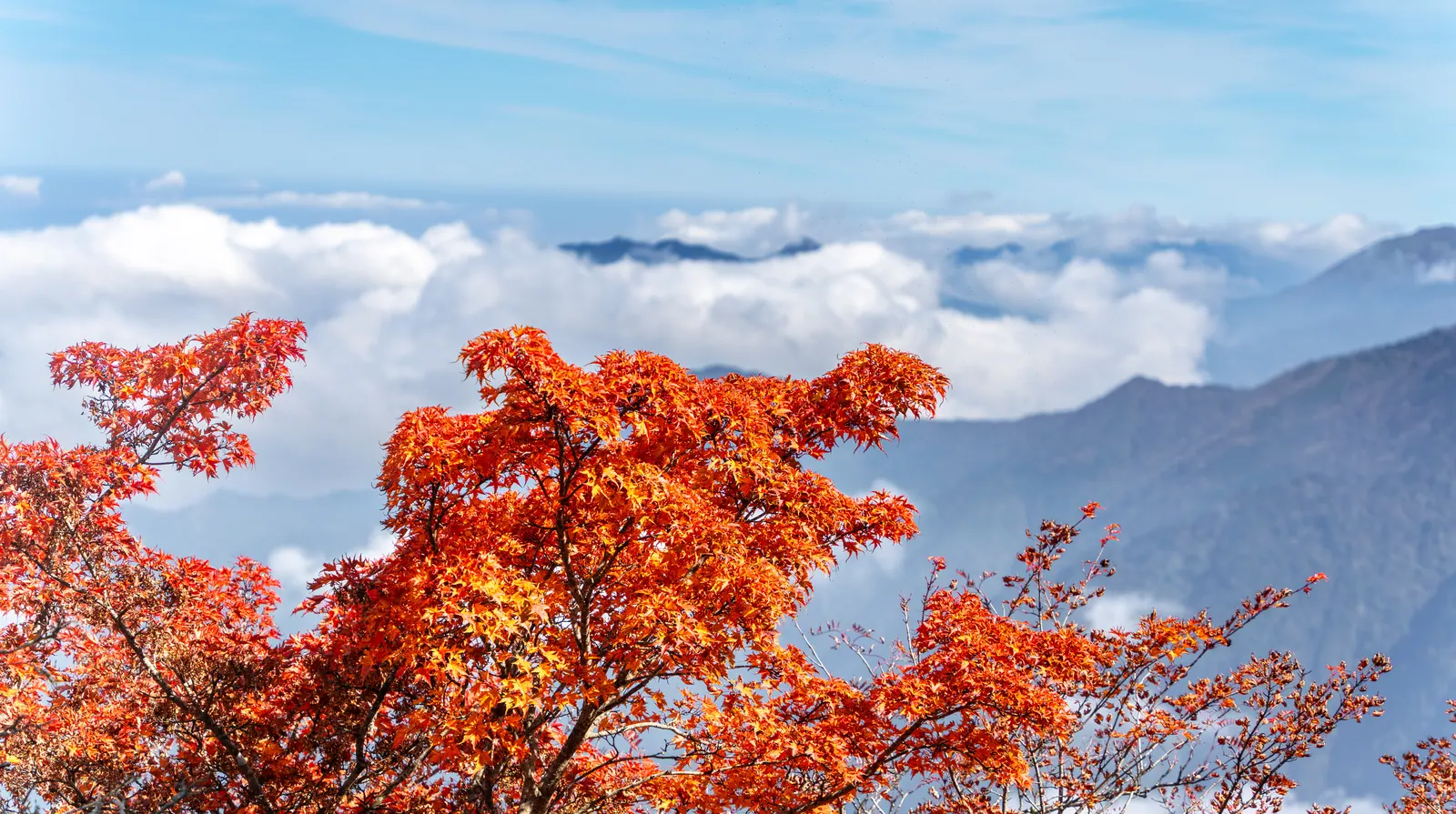 四国 · 石鎚山与剑山，2026.10.17 11:08