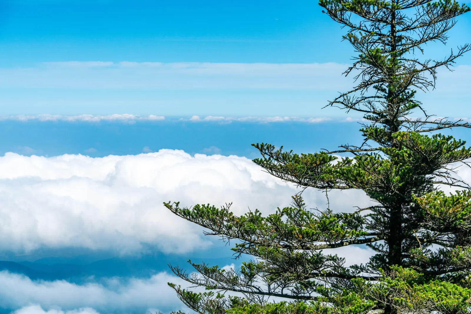 四国 · 石鎚山与剑山，2026.10.17 11:18
